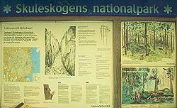 Skuleskogen